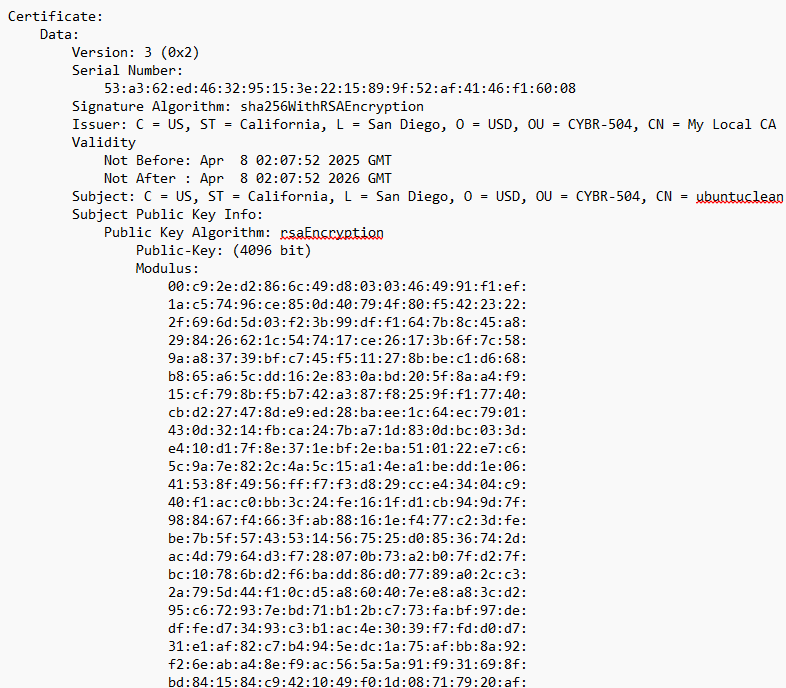 RSA Self-Signed Certificate Generation